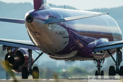 ミノルタ600ｍｍF4の作例